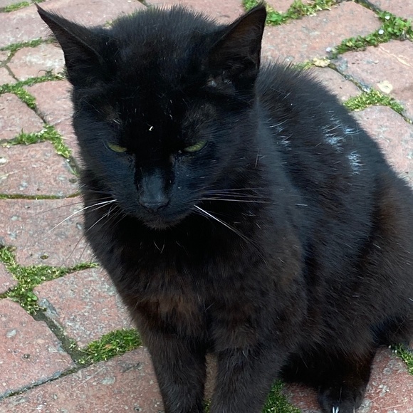 Meet your Posher, Wendy - Picture 1 of 1